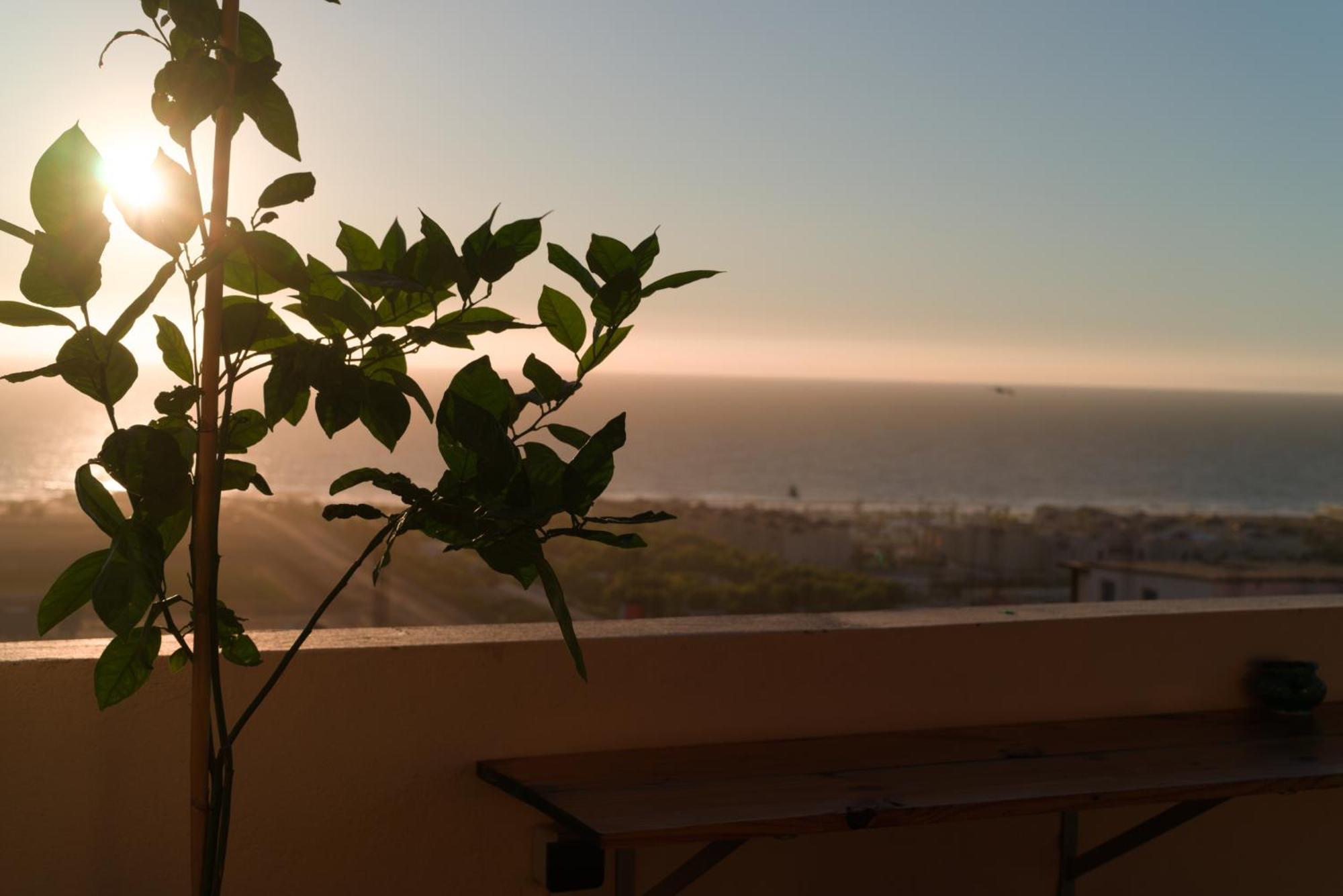 Monkey'S Guest House - Ocean View Rooms & Apartment With Rooftop Tamraght Exterior foto